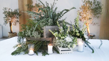 Imagem da loja: Verde aos Molhos